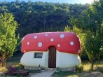 Toadstool house with forest backdrop